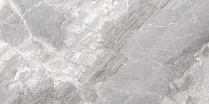 Керамогранит Cerdomus 75382 Supreme Silver Ret 60x120 фото