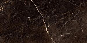 Глазурованный керамогранит YURTBAY Java PLSH Brown P10854.6 60х120 фото