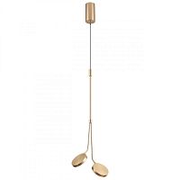 Подвесной светильник Odeon Light 5011/16L фото