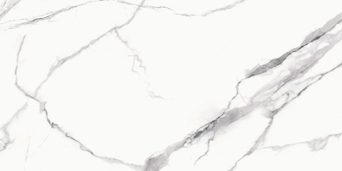 BIEN Statuario Goya 120x60 белый полированная фото 2