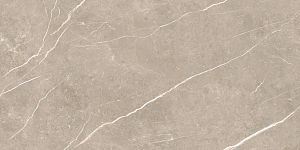 Керамогранит TAU Ceramica Elite Greige Matt 60x120 фото