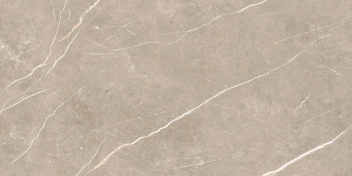 Керамогранит TAU Ceramica Elite Greige Matt 60x120