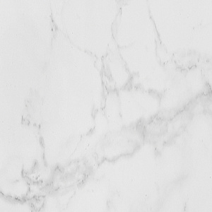 Керамогранит Porcelanosa 100325575 Carrara Blanco Brillo L 59.6x59.6 фото