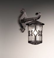 Светильник настенный Odeon Light 2311/1W фото