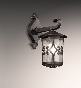 Светильник настенный Odeon Light 2311/1W фото