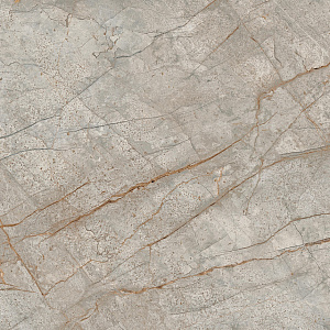 Керамогранит 610010002180 Empire Silver Root Rett 80x80 фото