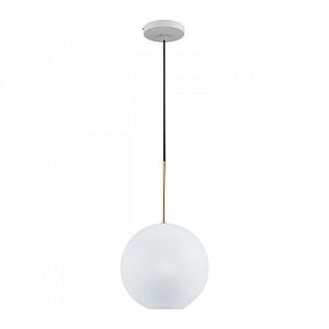 Подвесной светильник LOFT IT 2030-P1 фото