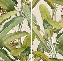 Керамогранит 41ZERO42 Paper41 Pro 4100336 Musa 50х100 фото