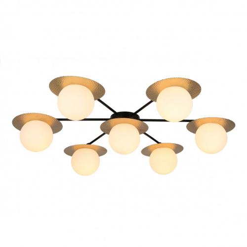 Накладная люстра F-Promo 3050-7P