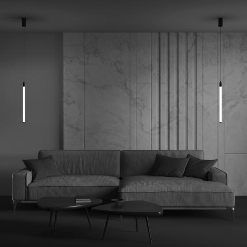 Подвесной светильник Maytoni Technical P022PL-L10B фото 4