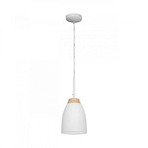 Подвесной светильник LOFT IT LOFT4402A-WH фото