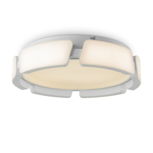 Потолочный светильник Freya FR6040CL-L92W фото 3