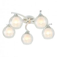 Накладная люстра Citilux CL152150 фото