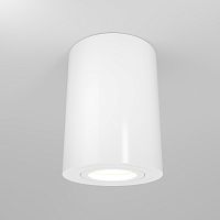 Потолочный светильник Maytoni Technical C016CL-01W фото