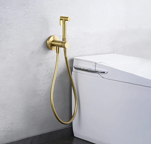 Встраиваемый смеситель для биде IMEX LINE RDD038/OC фото