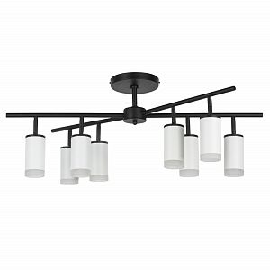 Люстра на штанге Lightstar LR7283680 фото