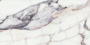 Керамогранит Rex Ceramiche Les Origines de Rex 769983 Argent Glossy 60х120 фото