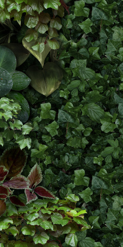 Керамогранит 41ZERO42 Paper41 Pro 4100154 Jane D 50х100