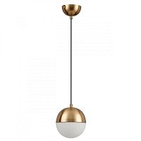 Подвесной светильник Odeon Light 4960/1 фото