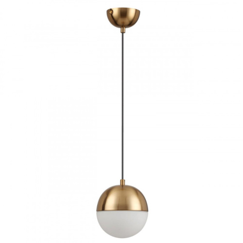 Подвесной светильник Odeon Light 4960/1