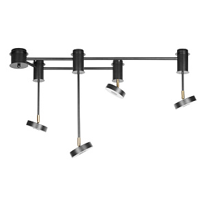 Накладная люстра LOFT IT 10189/1000 фото