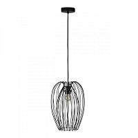 Подвесной светильник LOFT IT 10031 Black фото