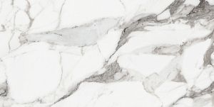 Керамогранит Rex Ceramiche Les Origines de Rex 769855 Argent Matte Rett 60x120 фото