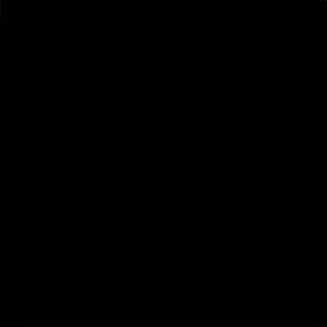 Плитка Negro g.136 20x20 фото