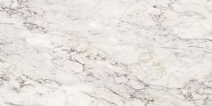 Керамогранит Ava Ceramica 274102 Marmi Siciliani Breccia Capraia Lap Ret 60x120 фото