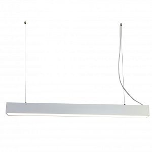 Линейный светильник Favourite 2072-48P фото