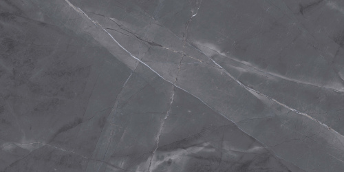 QUA Granite Space Anthracite 120x60 серый полированная фото 2