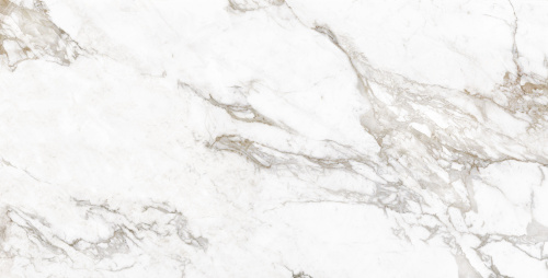 QUA Granite Creme Blanc 120x60 белый полированная фото 5