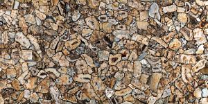 Керамогранит L315448MF6 Agata Atena Lucido 300х150 фото