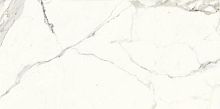 Керамогранит Ariostea Marmi Classici PL612527 Bianco Calacata Luc 120x60 фото