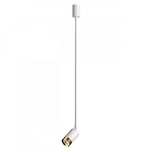 Спот Odeon Light 4350/1C фото