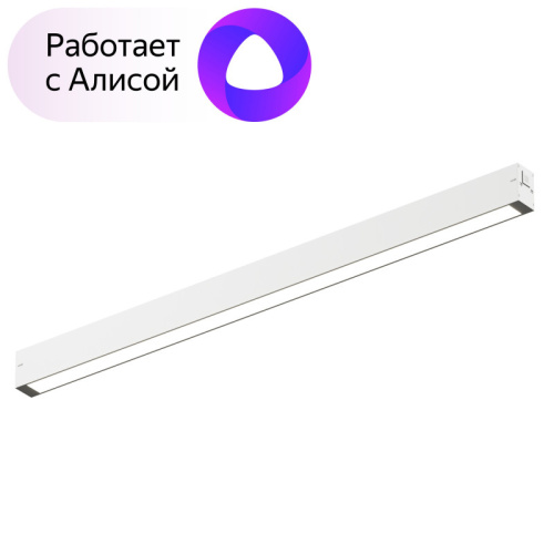 Светильник на шине Denkirs DK8005-WH
