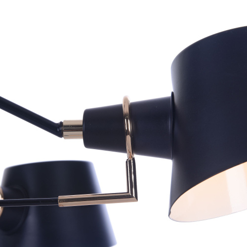 Люстра Freya FR5038-CL-06-B фото 2