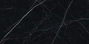Керамогранит Ariostea Marmi Classici PK612547 Nero Marquine Lev Silk 120x60 фото
