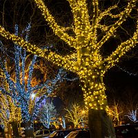 Светодиодная нить Eurosvet 400-102 белый 20м IP65 фото