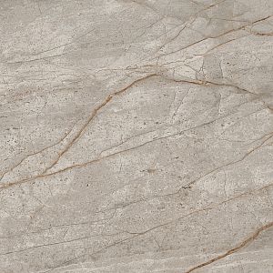 Керамогранит 610015000625 Empire Silver Root Lapp 60x60 фото