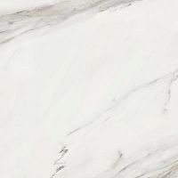 Керамогранит Dune Calacatta 188204 Superwhite Rec 90x90 фото
