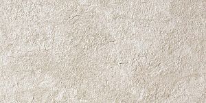 Керамогранит D046 (AW9Z) Brave Gypsum 30x60 фото