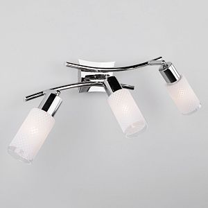 Спот Eurosvet 20030/3 хром фото