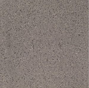 Керамогранит Imola Ceramica Parade PRDE 60G LV 60x60 фото