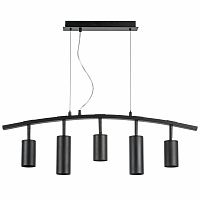 Подвесная люстра Lightstar LR735373872 фото