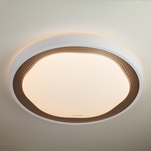 Накладной светильник Eurosvet 40006/1 LED кофе