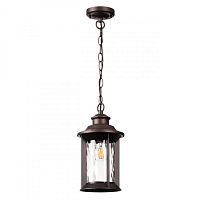 Подвесной уличный светильник Odeon Light 4961/1 фото