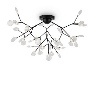 Потолочный светильник Freya FR5049CL-36B фото