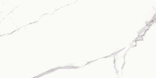BIEN Statuario Goya 120x60 белый полированная фото 5