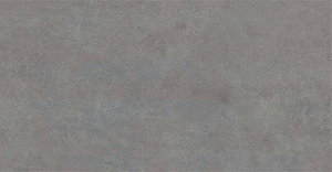 BIEN Arcides Grey 120x60 серый матовая фото